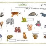 ورقة عمل تنوع الثدييات