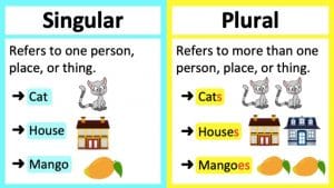 تدريبات على singular and plural